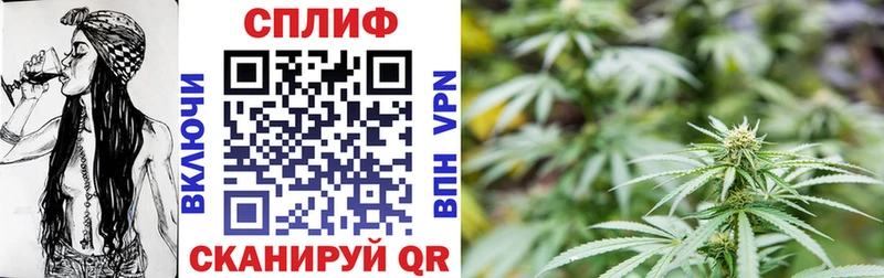 Конопля индика наркота МЕГА онион Шлиссельбург